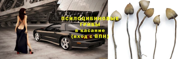 a pvp Белоозёрский