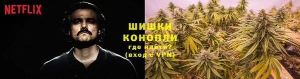 твердый Богданович