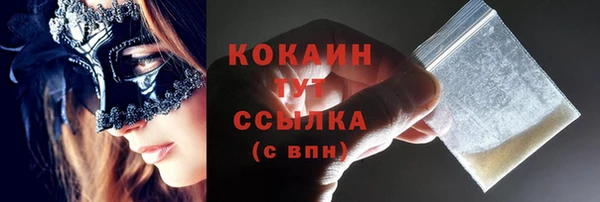 твердый Богданович