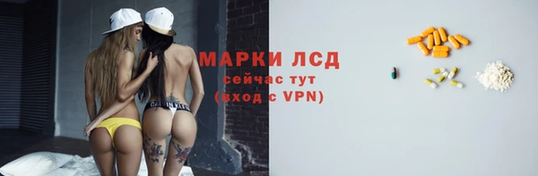 сатива Белокуриха
