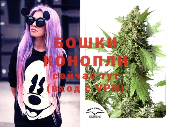 твердый Богданович