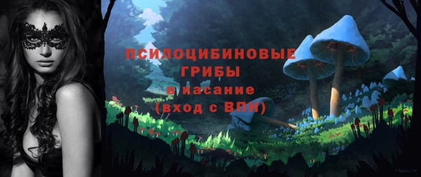 гашишное масло Богородицк