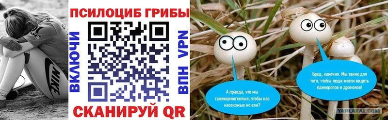Галлюциногенные грибы GOLDEN TEACHER  Болотное 
