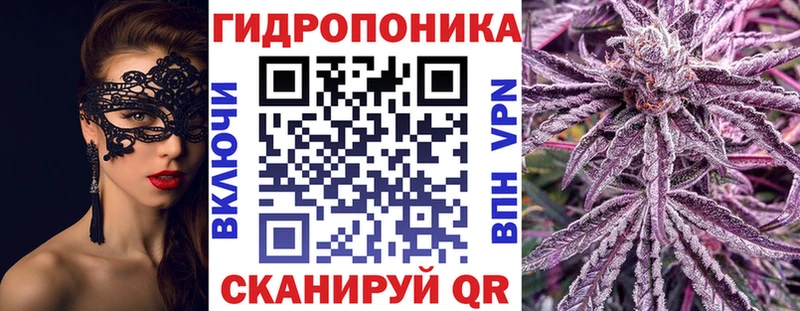 Бошки марихуана VHQ  где можно купить   Болотное 